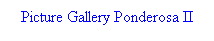 Text Box: Picture Gallery Ponderosa II
&nbsp;
&nbsp;

