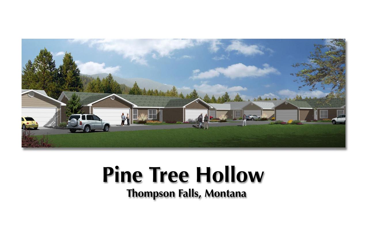 Pine Tree Hollow artist rendition